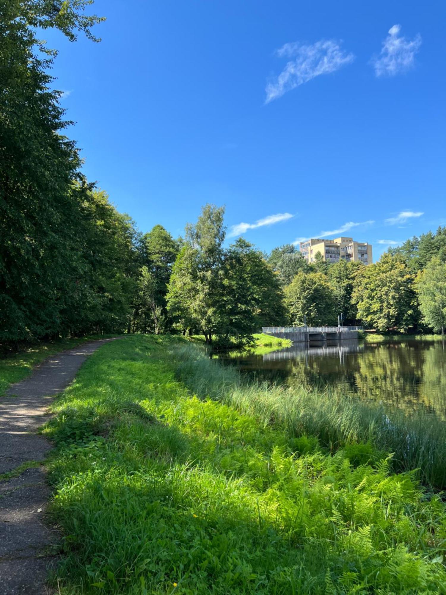 Saules Tako Apartamentai Druskininkai Bagian luar foto